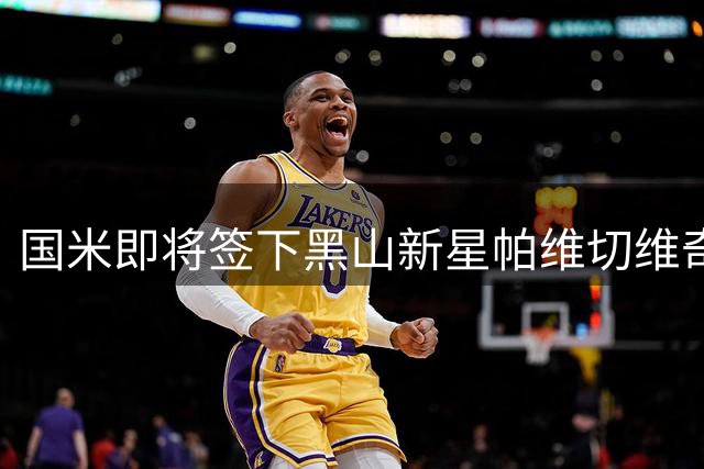 国米即将签下黑山新星帕维切维奇