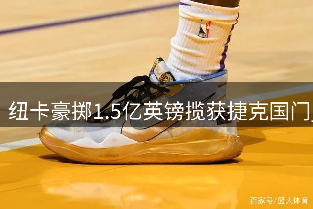 纽卡豪掷1.5亿英镑揽获捷克国门 霍尼切克加盟成第五签