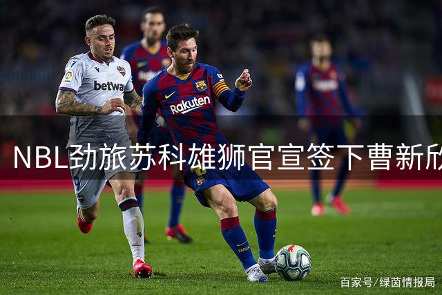 NBL劲旅苏科雄狮官宣签下曹新欣 新赛季阵容再添猛将